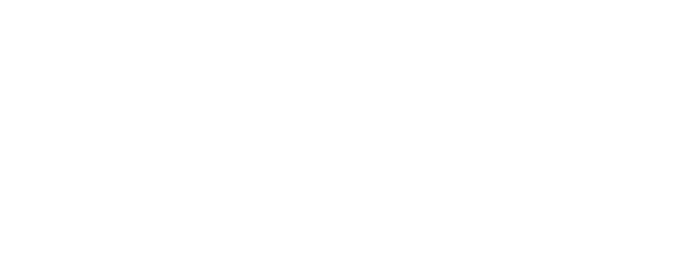 Fortify Development Logo White